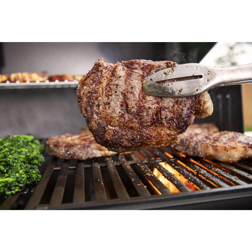 Weber Genesis E-315 Gasgrill mit 3 Brennern